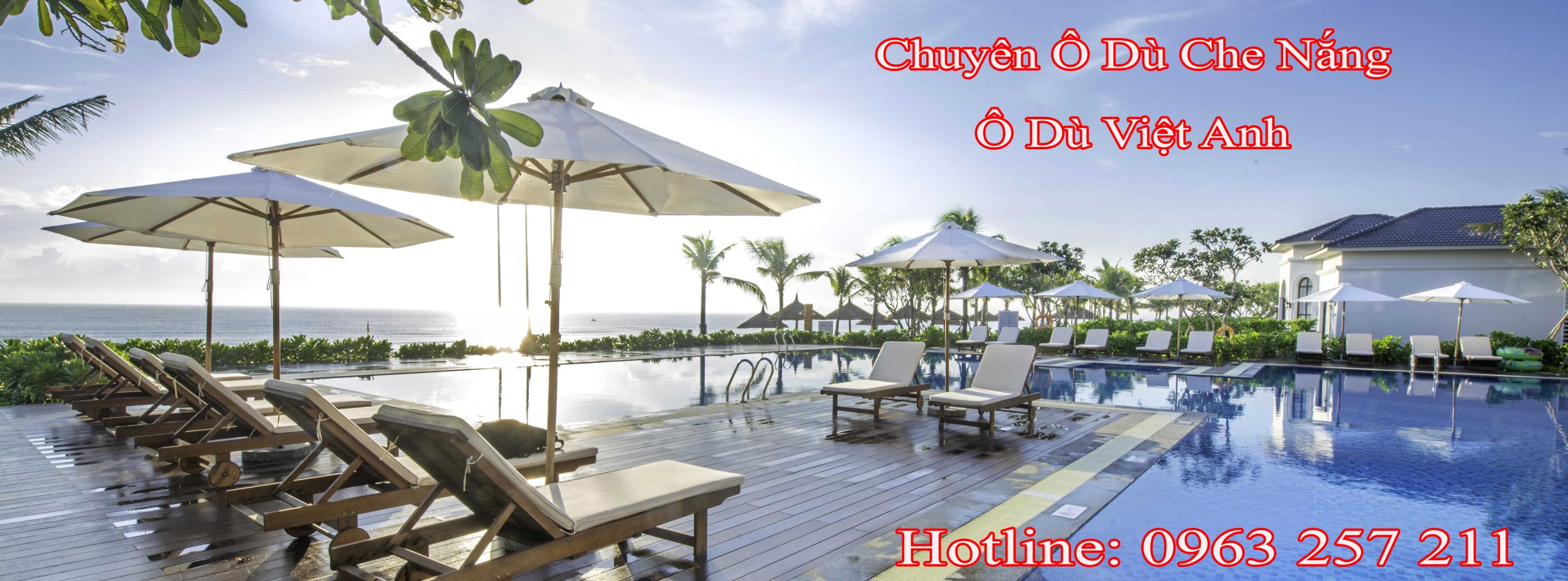 banner O du Viet Anh copy scaled